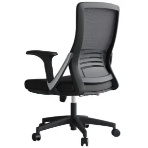 Echo Low Back