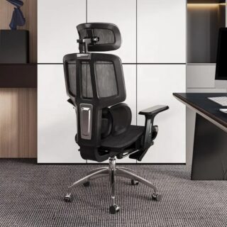 Ultra-Egornomic Office chair