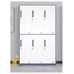 Steel Cabinet locker (6-door)