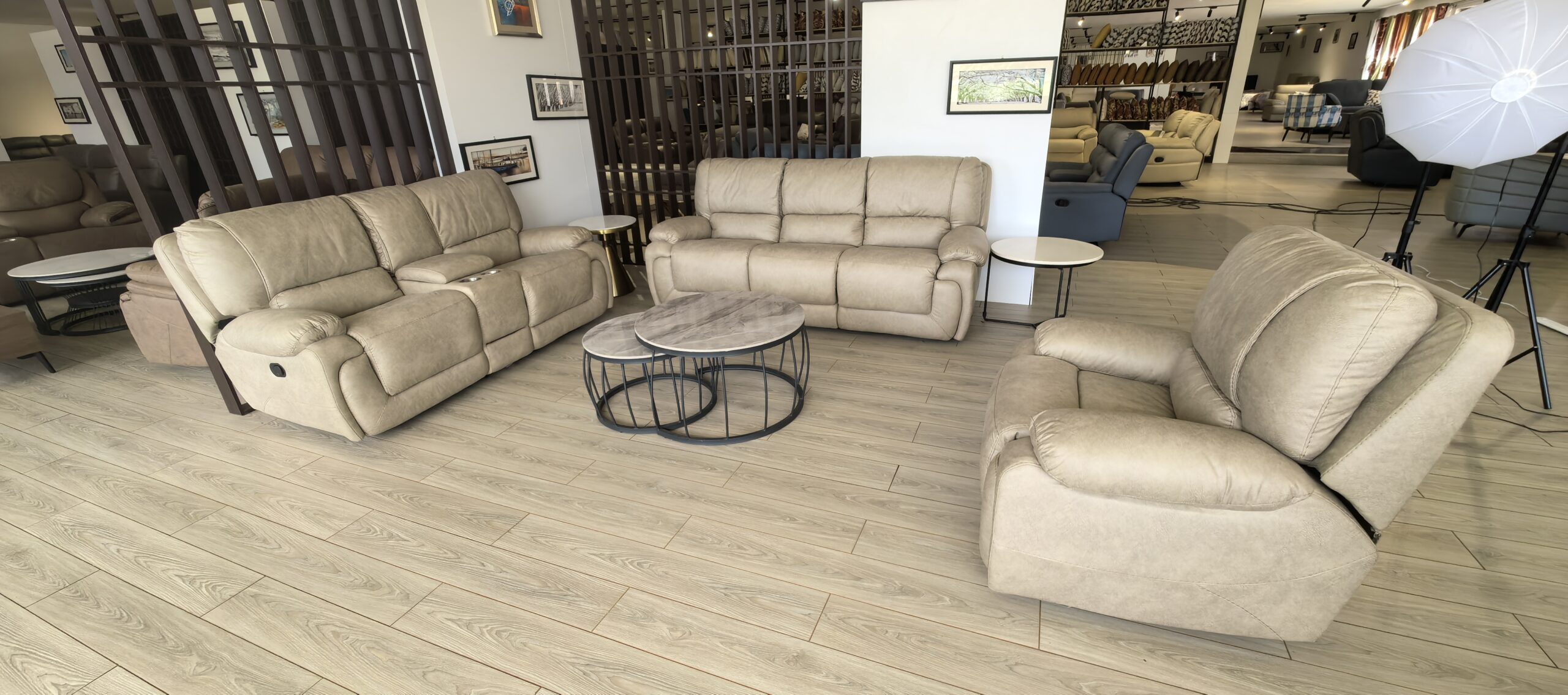 Recliner (S248)
